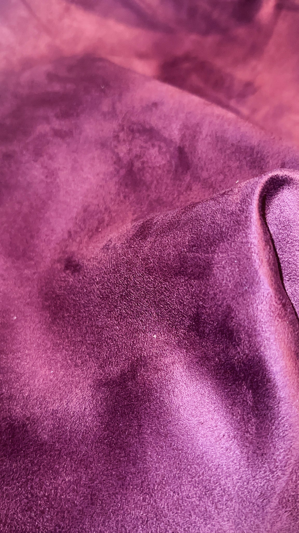 Intemporel Daim | Velours d’Âme