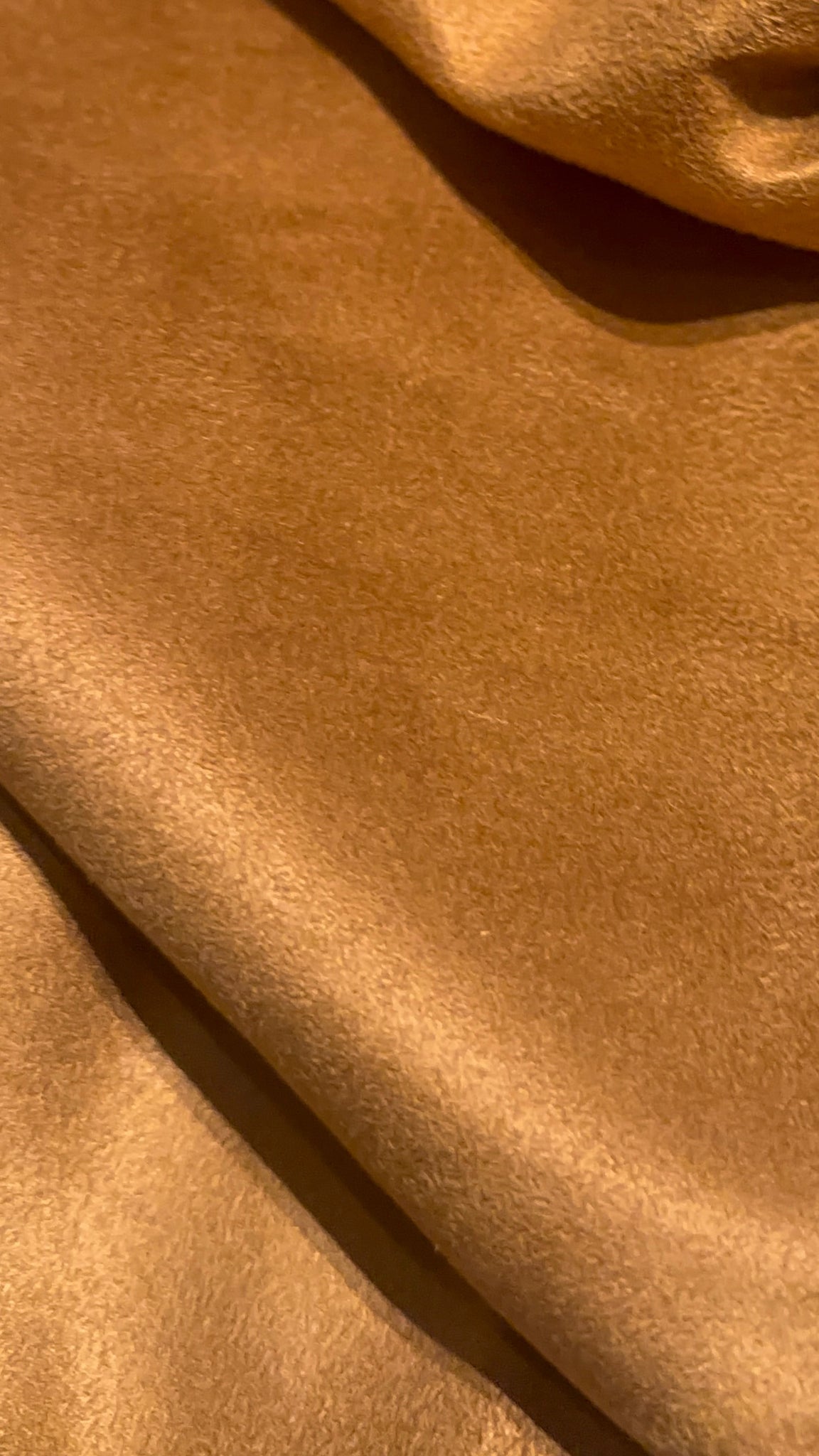 Intemporel Daim | Velours d’Âme